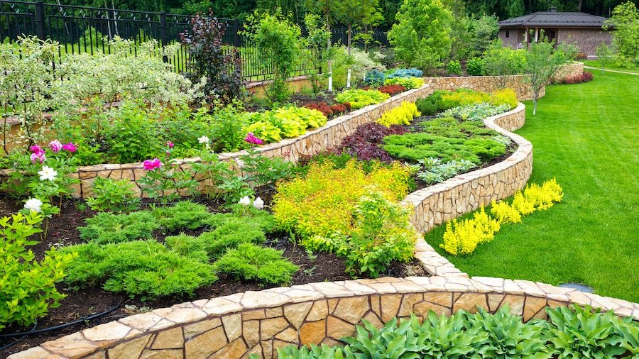 Beautiful garden renovations with plants and flowers